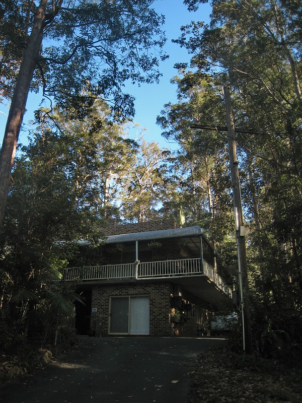 2009-11-06 22-04-54_6.jpg - Das ist unser B&B mitten im Urwald!